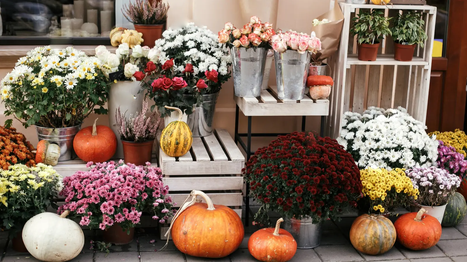 Halloween is now a season. Is your store ready?